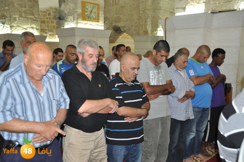 mohadaraa lud kaver 803 (12).JPG